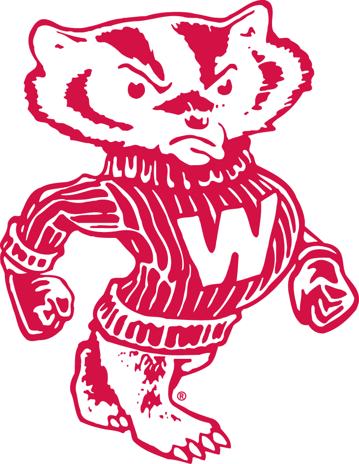 Wisconsin Badgers 1948-1969 Secondary Logo diy DTF decal sticker